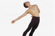Michael D011C